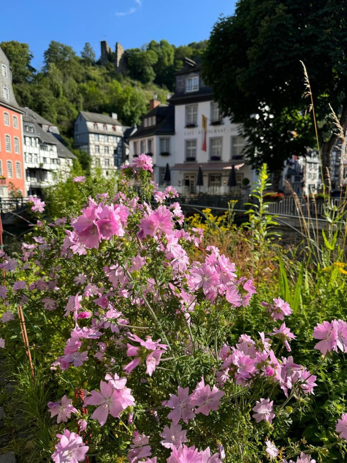 Fewo In Monschau Esterno foto