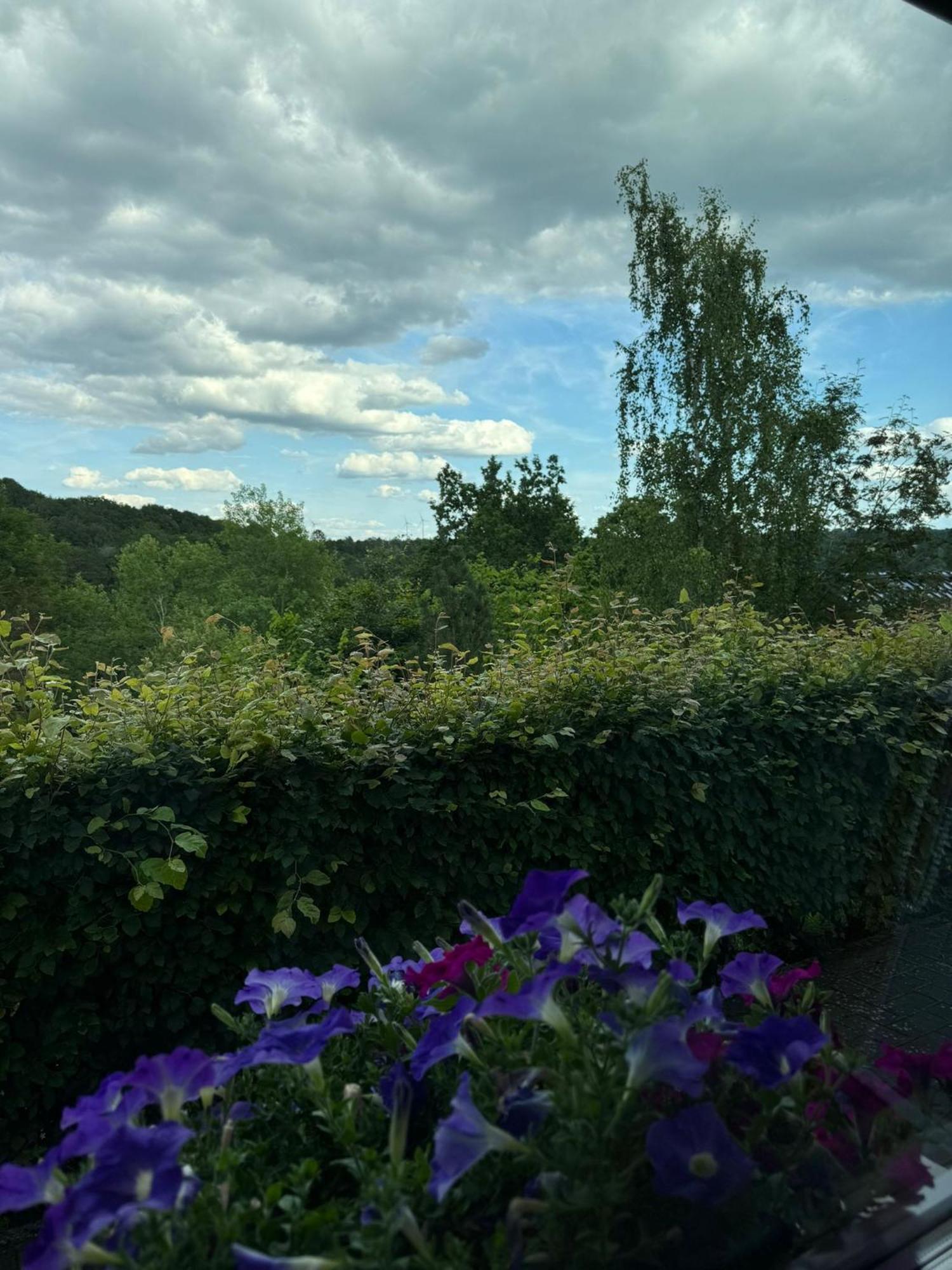 Fewo In Monschau Esterno foto